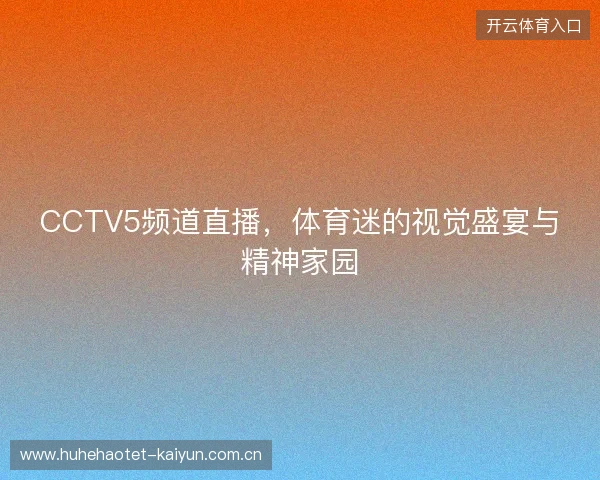 CCTV5频道直播，体育迷的视觉盛宴与精神家园